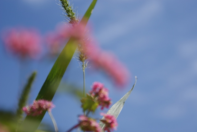 a0091666_225332100.jpg