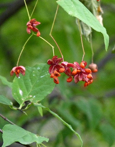 d0084473_2194490.jpg