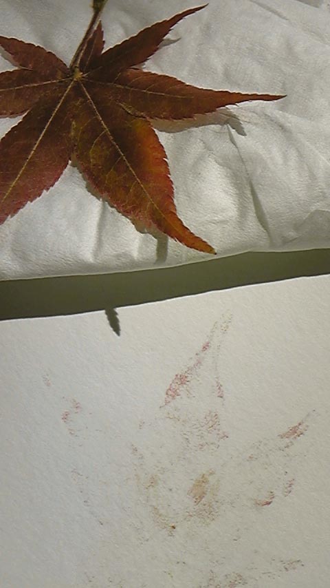 e0118274_21221674.jpg