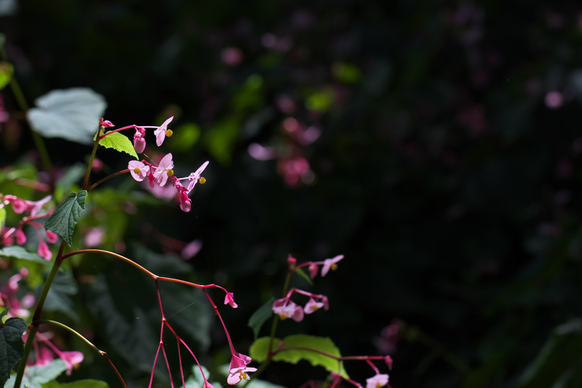 a0083081_15365720.jpg