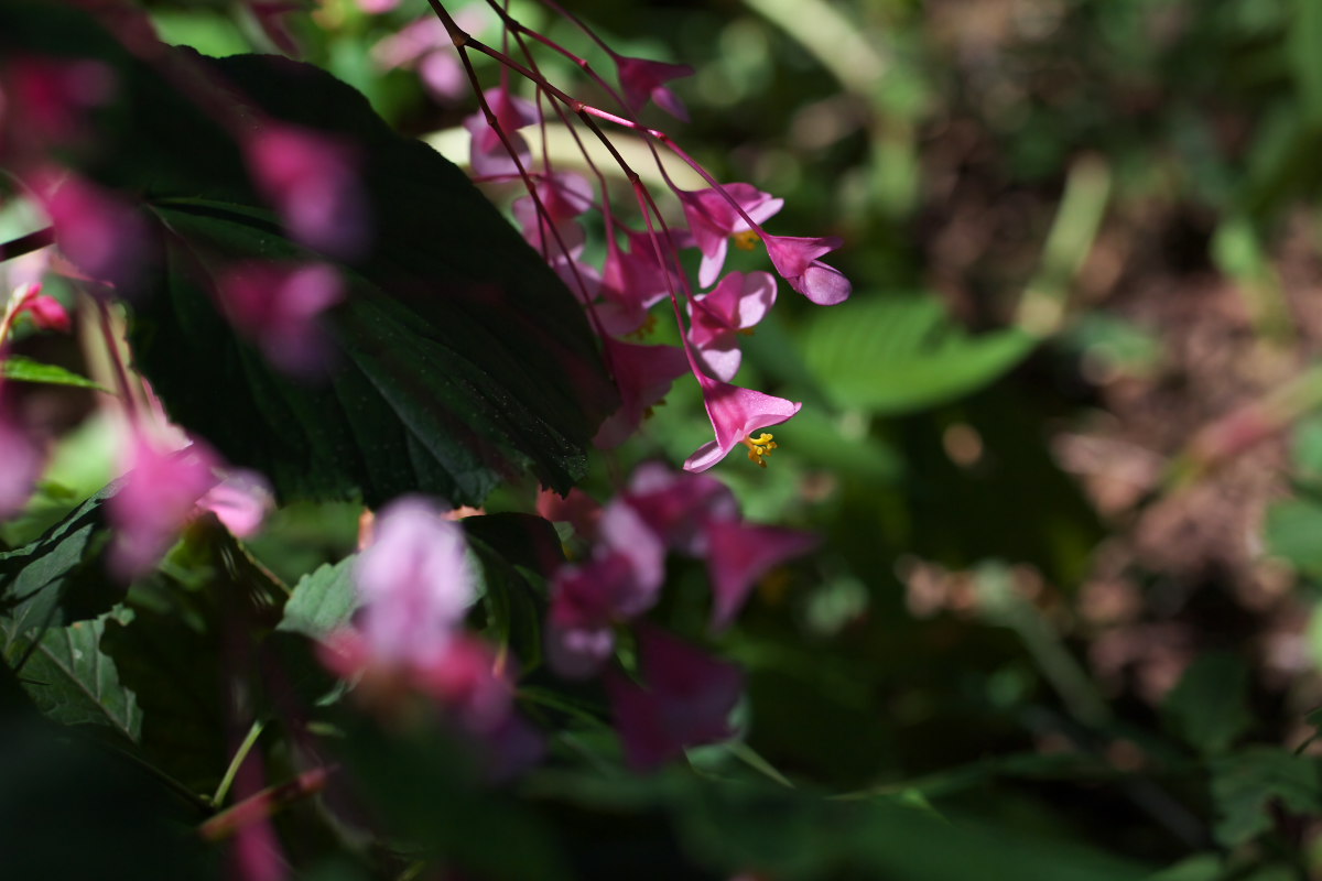 a0083081_15373134.jpg
