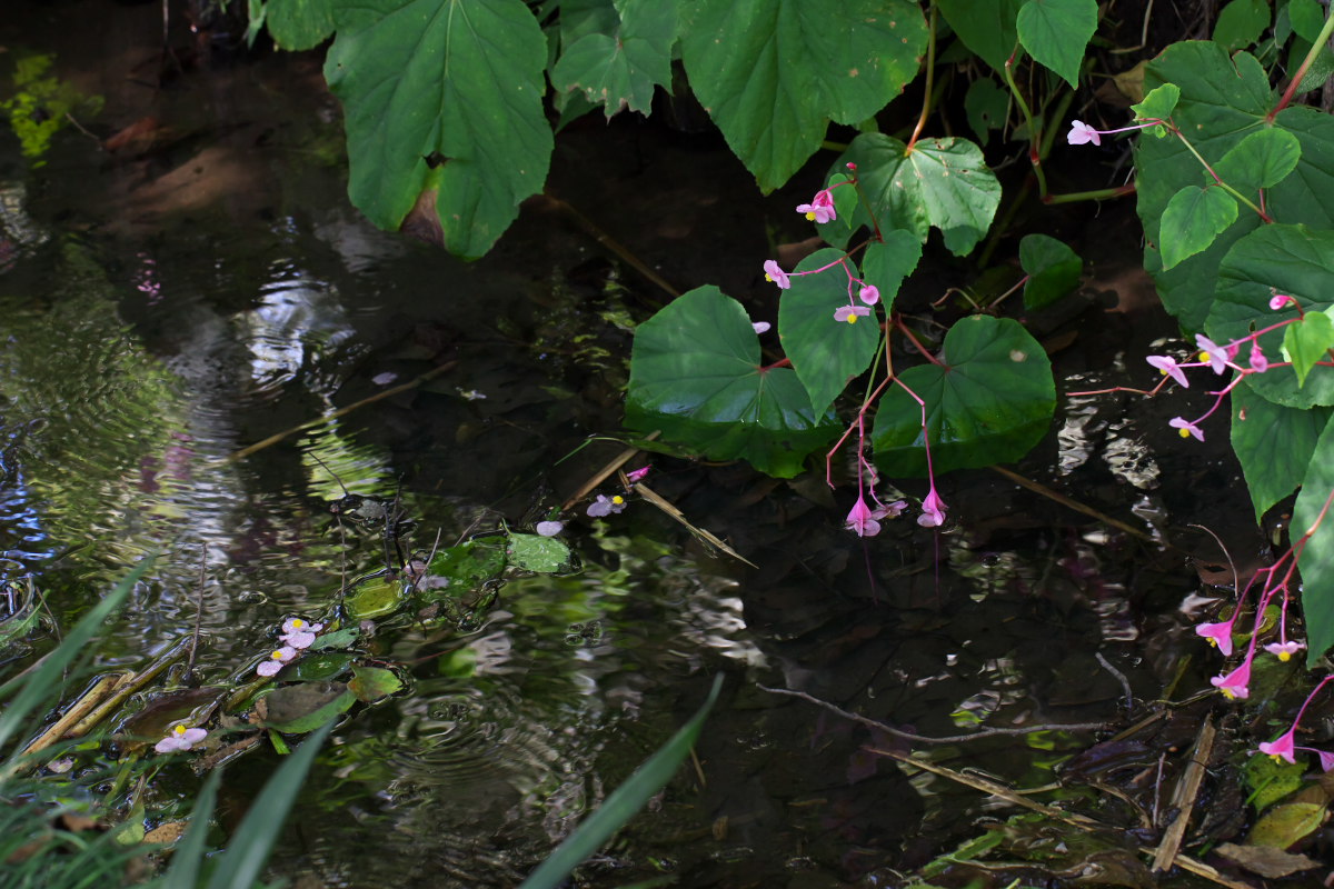 a0083081_15375581.jpg