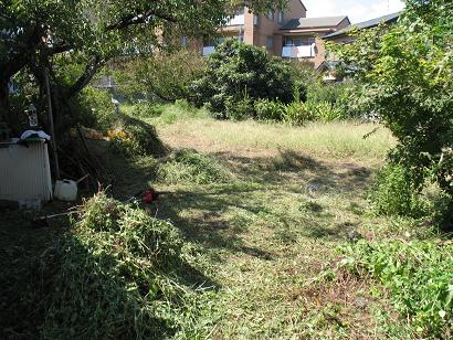e0130185_23212524.jpg