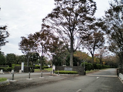 e0123587_10563761.jpg