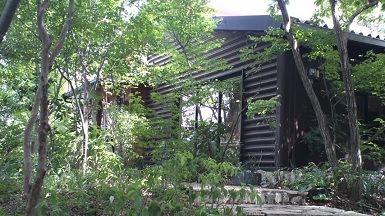 b0128589_18142223.jpg