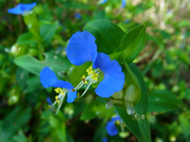 f0131491_1213336.jpg