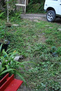 c0189894_10401686.jpg