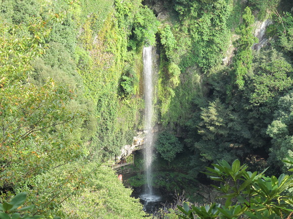 a0166196_11202620.jpg