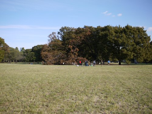 c0050400_1564554.jpg