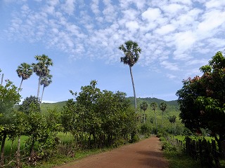 b0229505_2324129.jpg