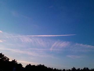 d0184405_2328714.jpg