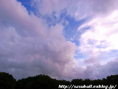 e0145805_20102039.jpg