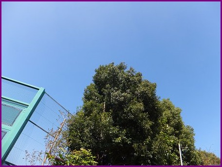 d0143214_23325633.jpg