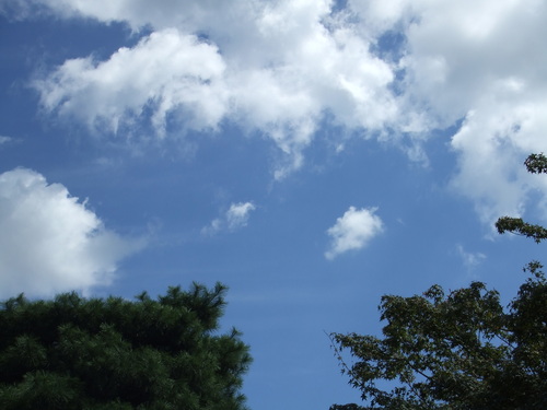 d0013816_21321066.jpg