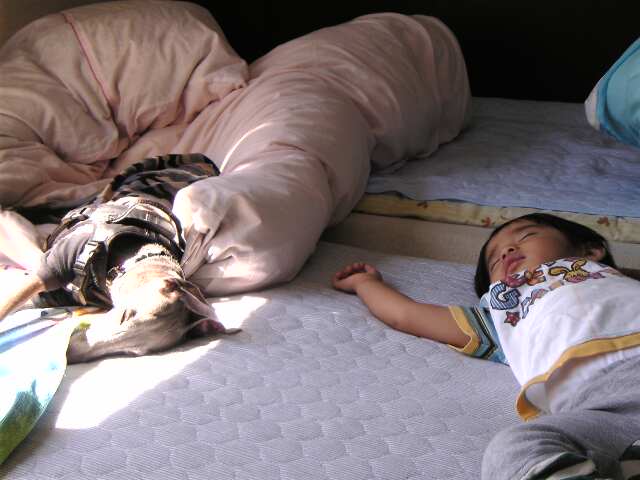 c0003217_11504457.jpg