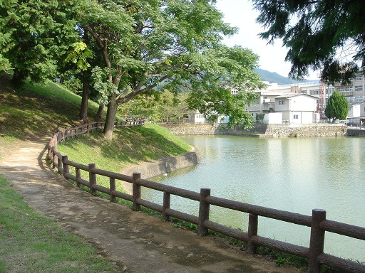 f0000521_5412476.jpg