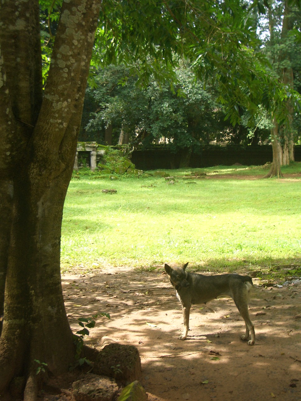 f0234821_1013737.jpg