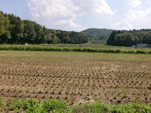 a0176523_15502788.jpg