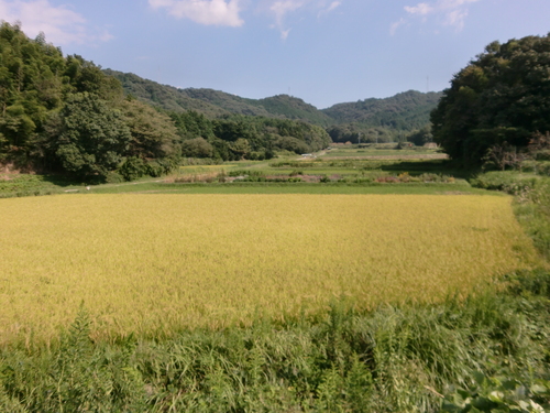 a0176523_16113389.jpg