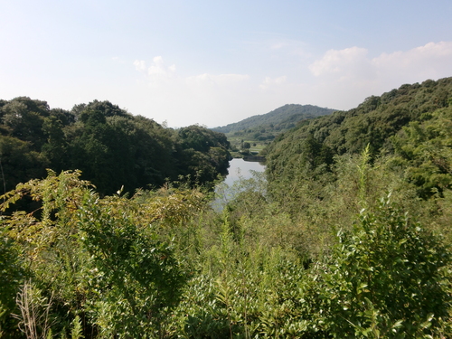 a0176523_1683525.jpg