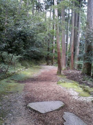 c0152123_10581468.jpg