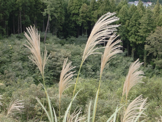 e0234924_15104557.jpg