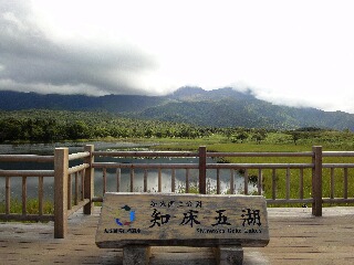f0181524_1649215.jpg