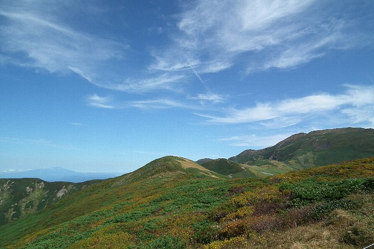 f0118332_23361016.jpg