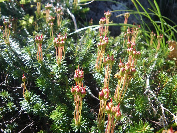 f0118332_23433755.jpg
