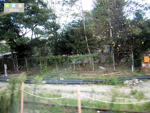 c0227134_1563710.jpg