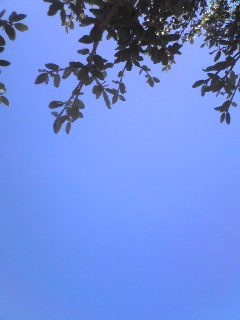 a0155838_19274918.jpg