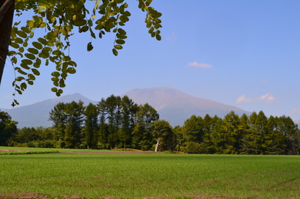 e0228938_19541712.jpg