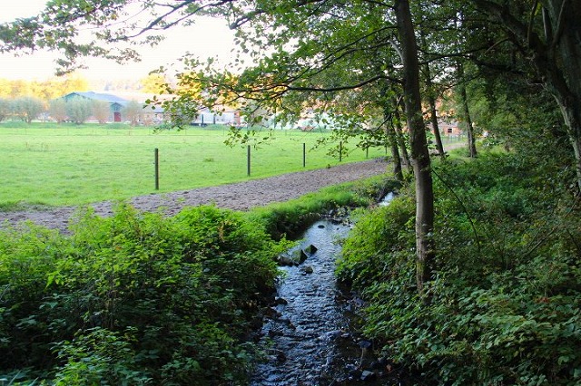 c0153740_3462685.jpg