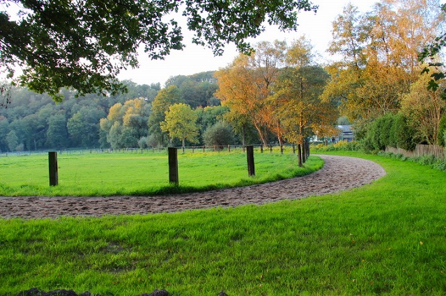 c0153740_414967.jpg