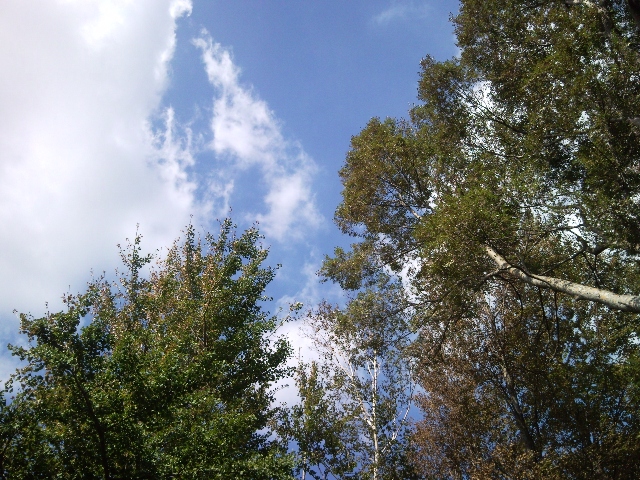 e0150843_18585940.jpg