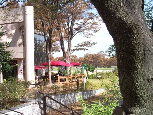 e0150843_19112016.jpg