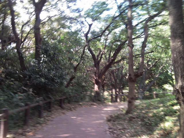 e0150843_19144352.jpg