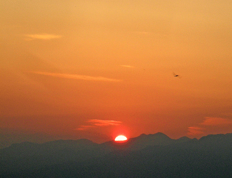 a0001354_20115090.gif