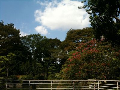 e0122156_1322847.jpg