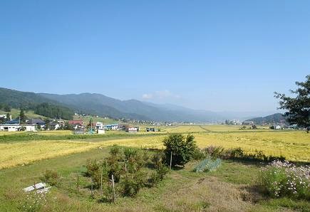 e0044657_2250182.jpg