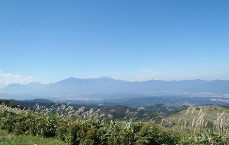 e0044657_2331261.jpg