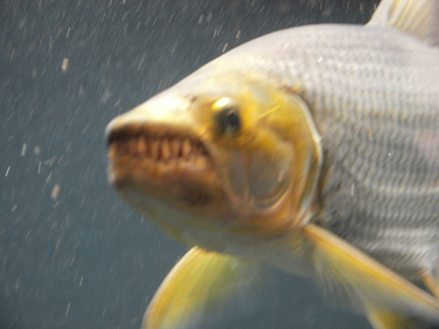 f0009758_17535795.jpg