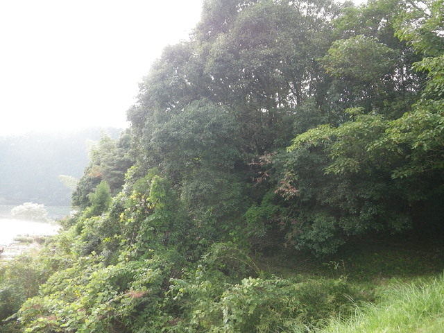 f0055264_23581038.jpg