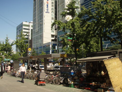 b0050067_0142844.jpg