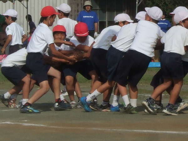 b0197668_10531173.jpg