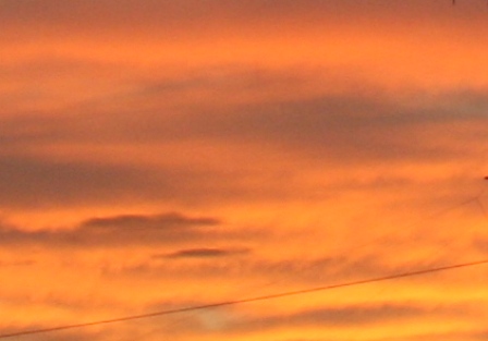 f0088569_2215783.jpg