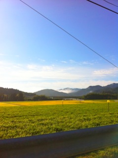 c0152973_17312815.jpg