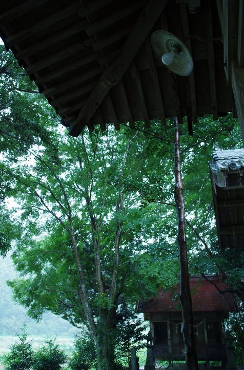 e0152576_20431159.jpg
