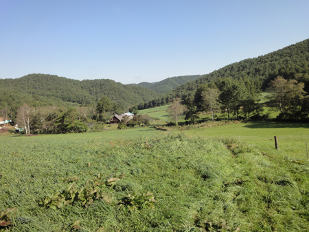 f0054977_13462751.jpg