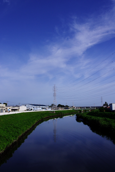 b0120979_757969.jpg
